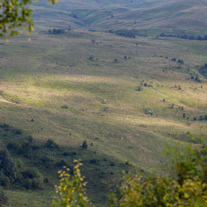 Лаго-Наки, Адыгея